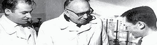 ICEFIZ Was Reorganized into Specialized Entities