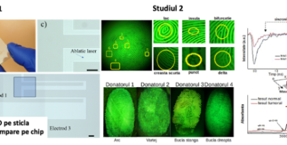 abstractgrafic_30N_2024_f1_ro